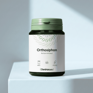 Orthosiphon — Dietinatura