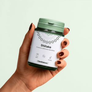 Shiitake — Dietinatura
