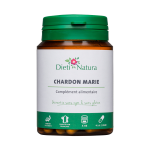Chardon marie