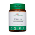 Radis noir