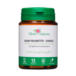 saw-palmetto-sabal