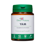 Yam
