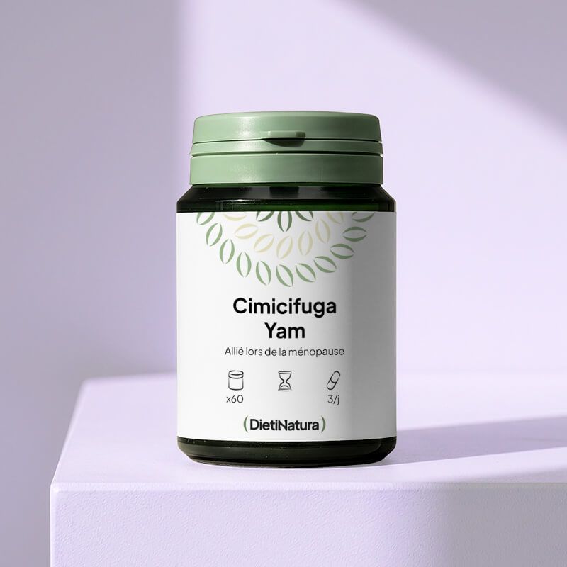 Cimicifuga - Yam