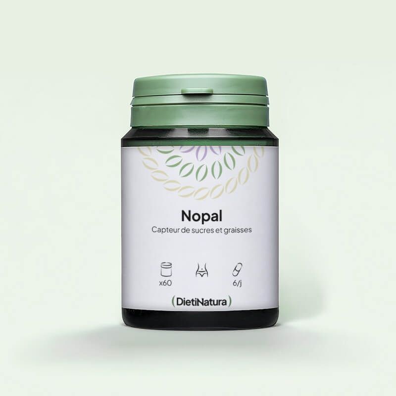 Nopal
