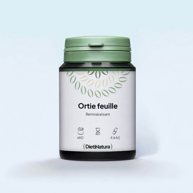 Ortie feuille