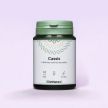 Cassis