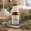 Huile essentielle d'Eucalyptus radiata Bio