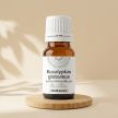 Huile essentielle d'Eucalyptus globuleux