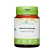 Millepertuis Bio