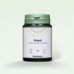 Nopal
