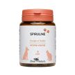 Spiruline Chiens et Chats