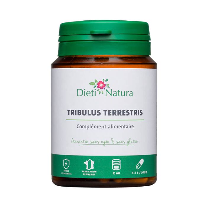 Tribulus terrestris Tribulus terrestris