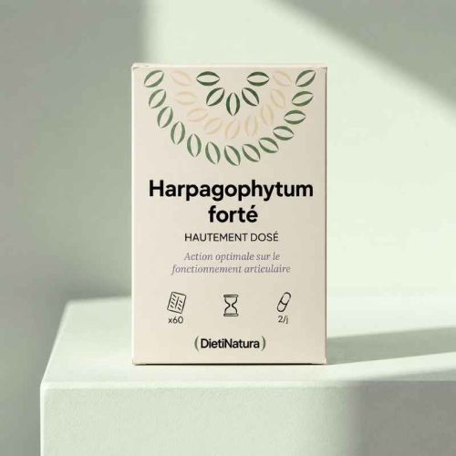 Harpagophytum forté