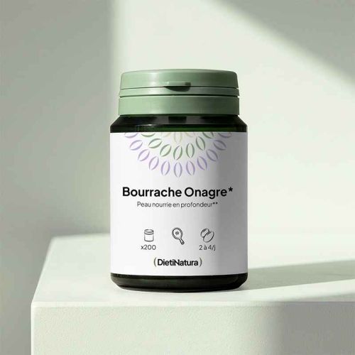 Bourrache Onagre*