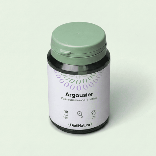 Argousier