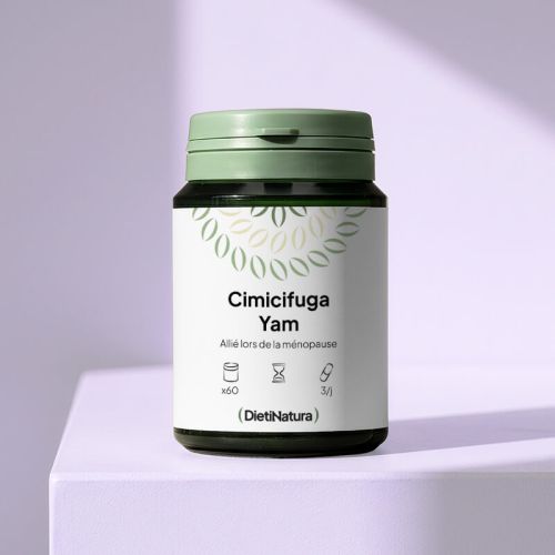 Cimicifuga - Yam