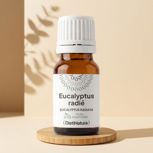 Huile essentielle d'Eucalyptus radié