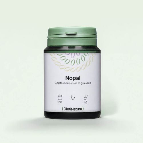 Nopal