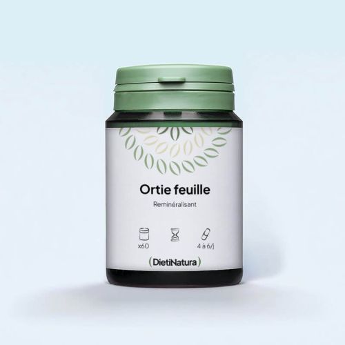 Ortie feuille