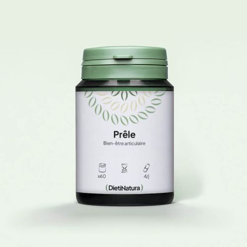 Prêle