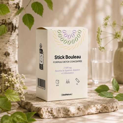 Stick Bouleau