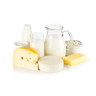 Ferments lactiques