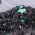 Silicium