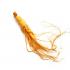 Ginseng