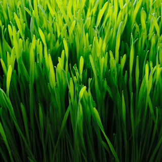 fake tall plants Artificial Plant, 20