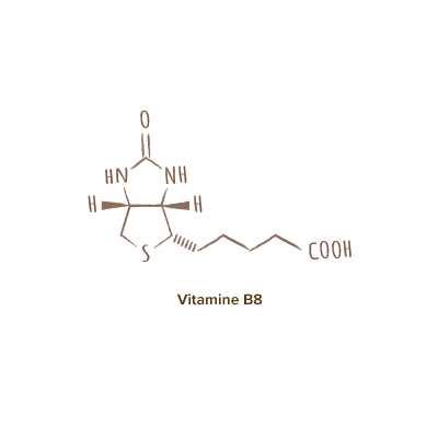 structure-molecule-biotine