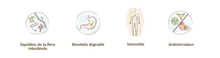 Le kéfir : origine, fabrication et bienfaits – Anatae