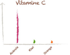 acérola vitamine c