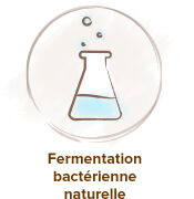 fermentation acide hyaluronique