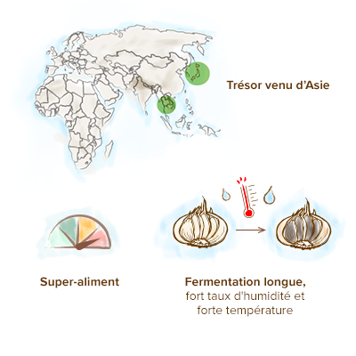 Ail Noir, Aliment Diététique Issu De La Fermentation De L'ail