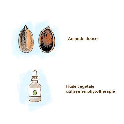 Apparence_amande_huile