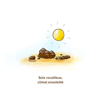 Origine_culture_amande