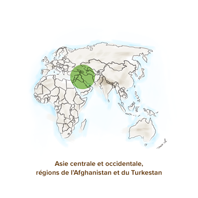 Origine_geographique_amande