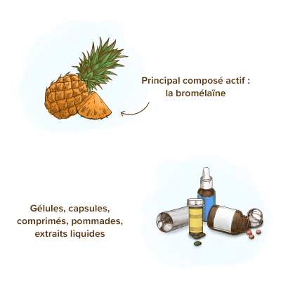 forme-galenique-ananas-molecule-bromelaine