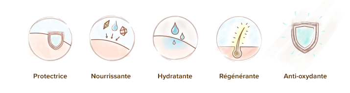 Proprietes_argan