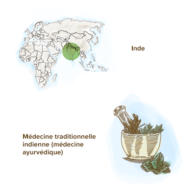 /Origine-geographique-ashwagandha