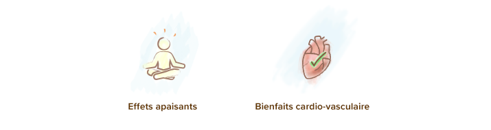proprietes_effets_de_l_aubepine