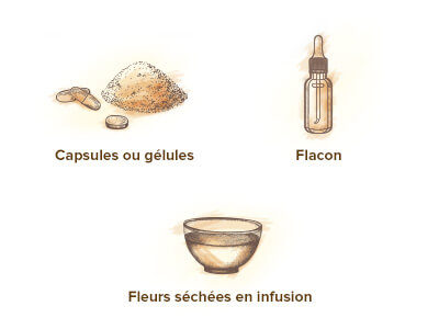 format bourrache