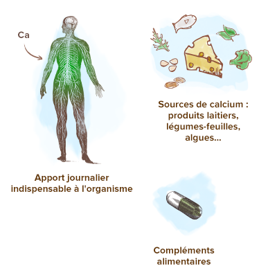 Apparence-calcium