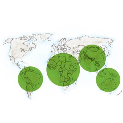 localisation chlorella