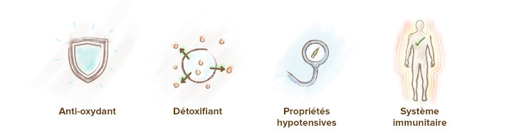 propriétés chlorella