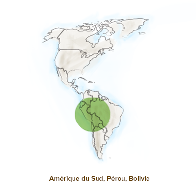 Origine-geographique-chrysanthellum