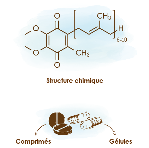 Apparence-composition-et-formats6du-co-enzyme-q10