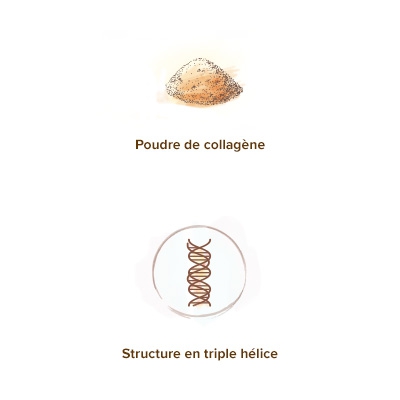 apparence_du_collagene_marin