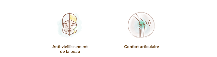proprietes_effets_du_collagene_marin