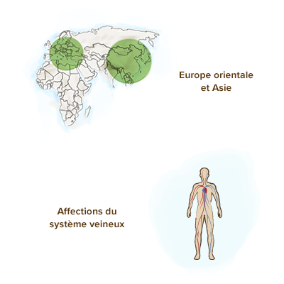 origines-geographiques-cypres